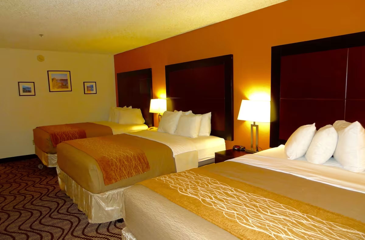 酒店客房設計細節的全面知識點解讀 酒店客房設計細節的全面知識點解讀